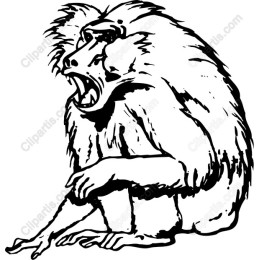 Wildlife Baboon