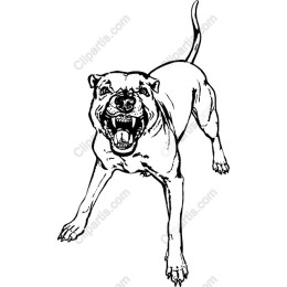 Angry Dog