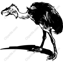 Prehistoric Bird
