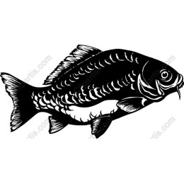 Stunning Fishs