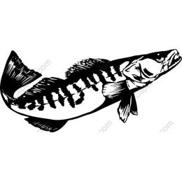 Black and White Fish