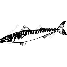 Stylized Fish