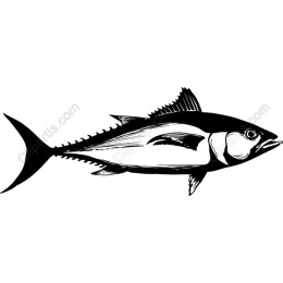 Elegant Tuna Fish