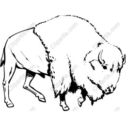 Majestic Bison