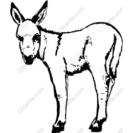 Charming Donkey
