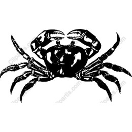 Crab