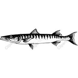 Intricate Fish