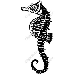 Seahorse