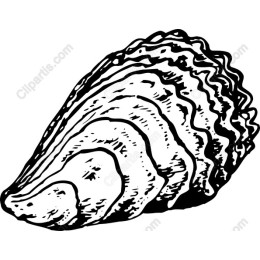 Oyster Shell