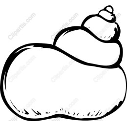 Seashell