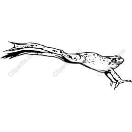 Leaping Frog