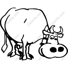 Playful Cow