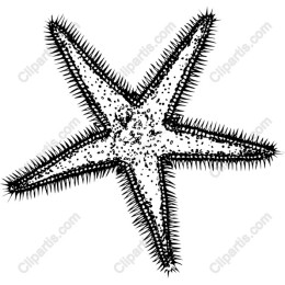 Starfish