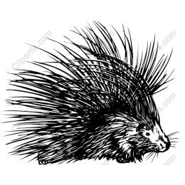 Porcupine