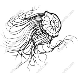 Black and White Jellyfish