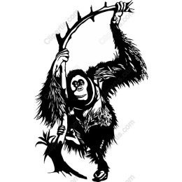 Playful Gorilla