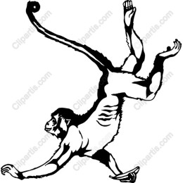 Dynamic Monkey Acrobatic