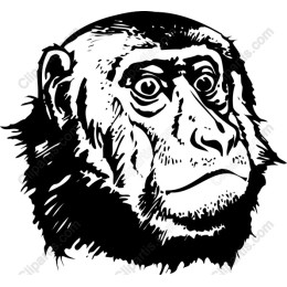 Monkey Face