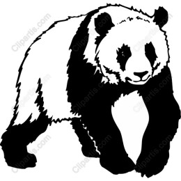 Panda - Black and White