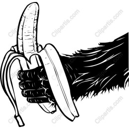 Gorilla Hand Holding Banana