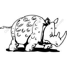 Playful Rhino