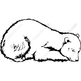 Sleeping Bear
