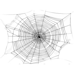 Intricate Spider Web