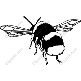 Bumblebee