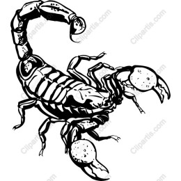 Fierce Scorpion