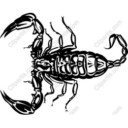 Scorpion