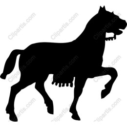Majestic Horse