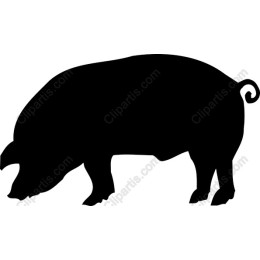 Pig