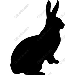 Black Rabbit