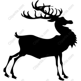 Majestic Stag