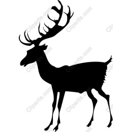Majestic Deer