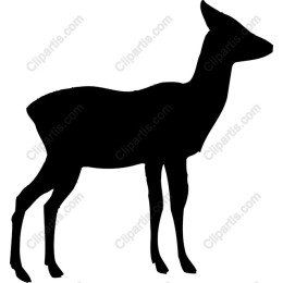 Elegant Deer