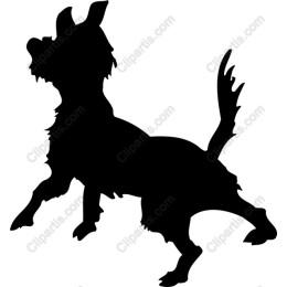 Playful Dog