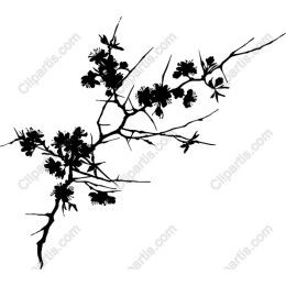 Elegant Floral