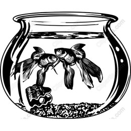 Charming Goldfish Bowl