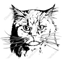 Majestic Cat