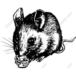 Charming Mouse
