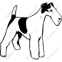Wire Fox Terrier