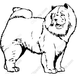 Chow Chow