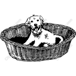 Puppy Love: of a Dog in a Woven Basket