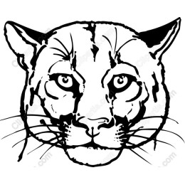 Fierce Tiger Face
