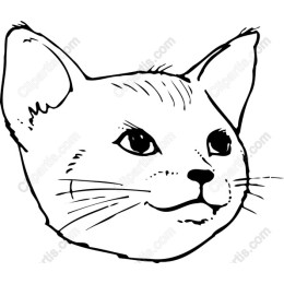 Cat Head