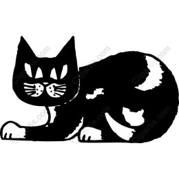 Charming Black and White Cat