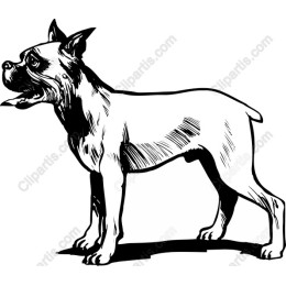 Vintage Dog