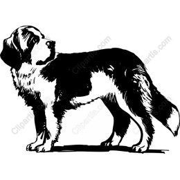 Majestic Canine
