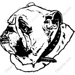 Majestic Bulldog